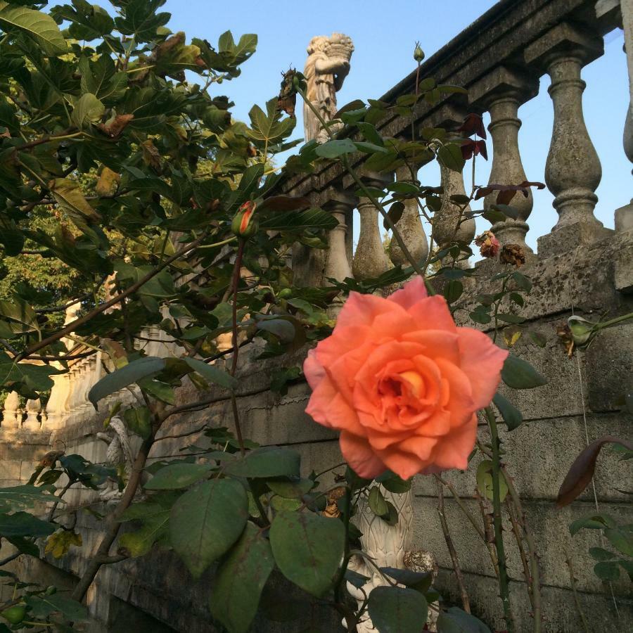 Villa Capannina Novi Ligure Esterno foto